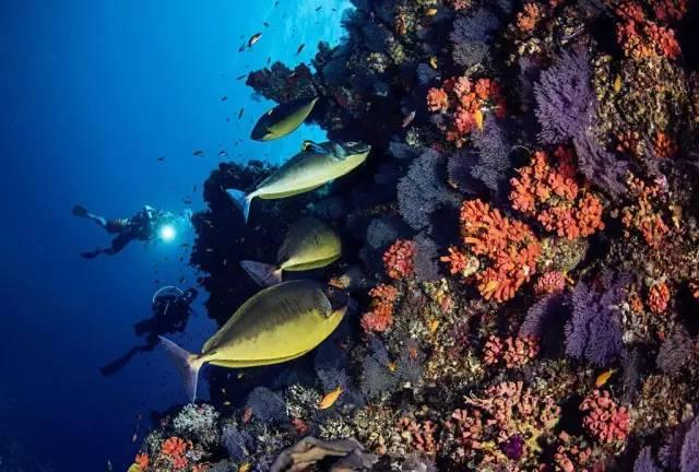 省政协委员李平建议:打造湖南铸牢中华民族共同体意识文旅品牌|建议提案零距离