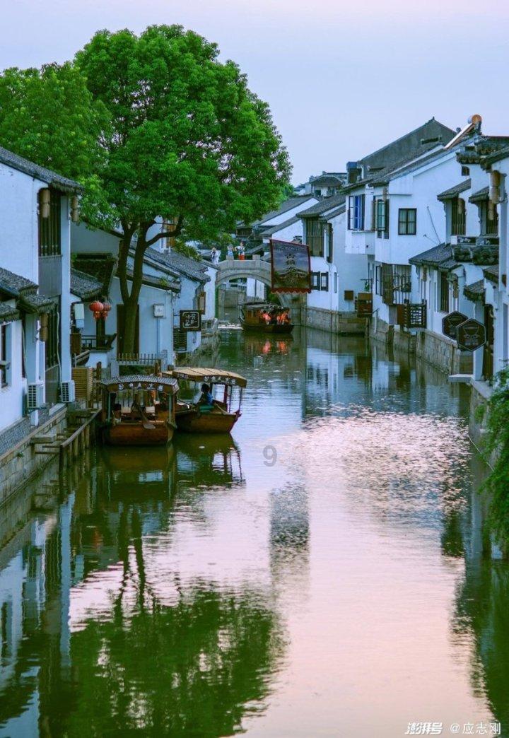 小猫钓鱼游戏龙王版有船